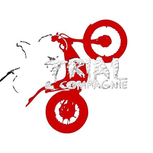 logo-removebg-preview